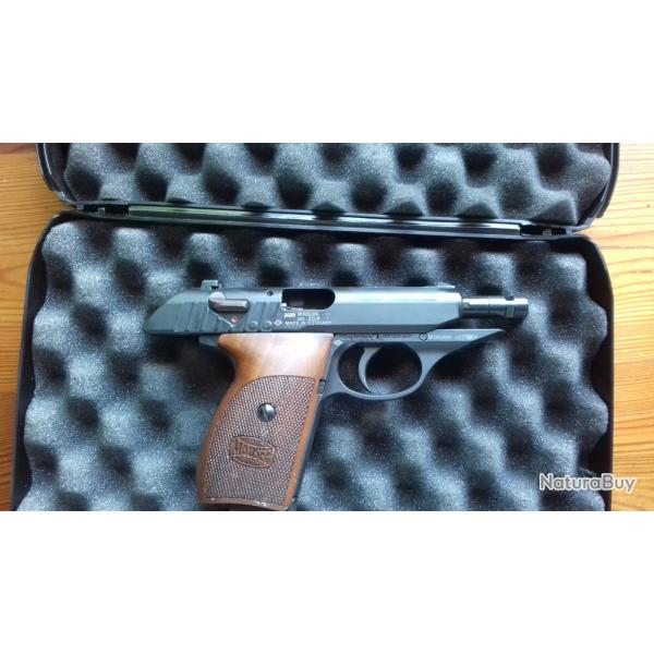 22lr ruger P77