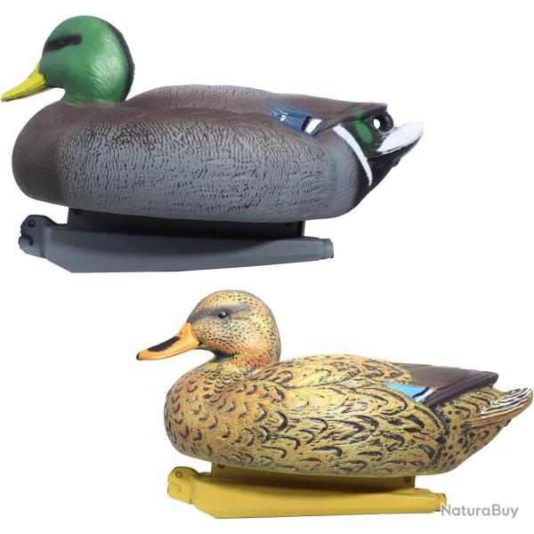 Formes Colvert m�le et femelle - Vente Flash Hutte