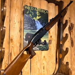 ENCHERES 1� - REMINGTON MODEL 750 WOODMASTER - 280REM