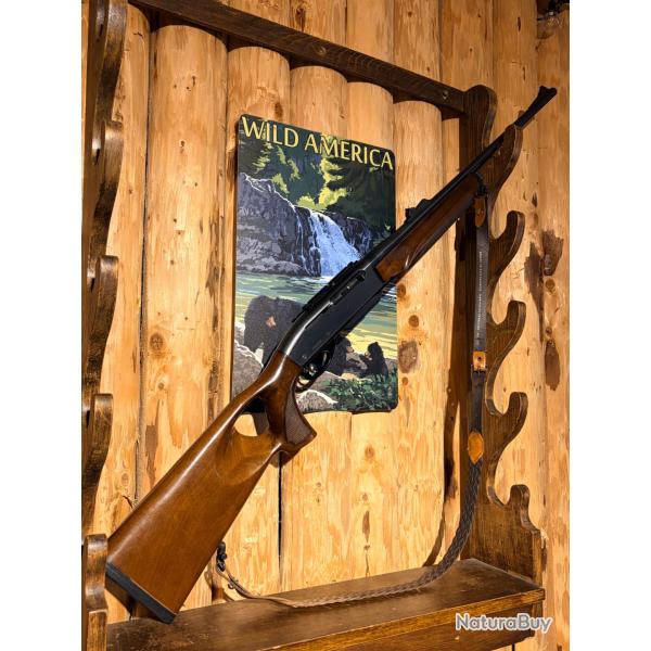 ENCHERES 1� - REMINGTON MODEL 750 WOODMASTER - 280REM
