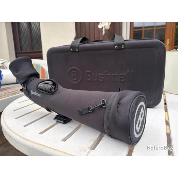Bushnell Forge 20-60x80