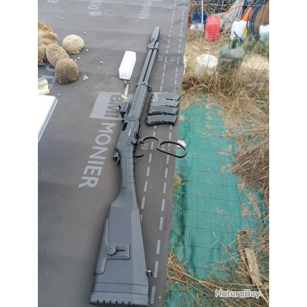 Derya tm22 LA 22lr + rds Freyr & Devik 88 + redot V.O frenzy 1x17x24 + 4 chargeurs