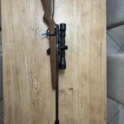 Carabine Savage Stevens 300 22 lr bois