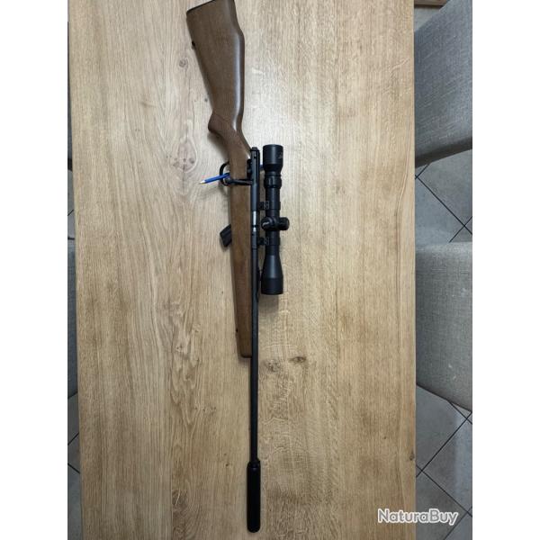 Carabine Savage Stevens 300 22 lr bois