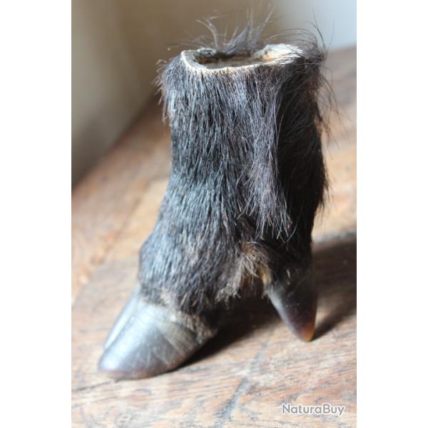 Pied de sanglier