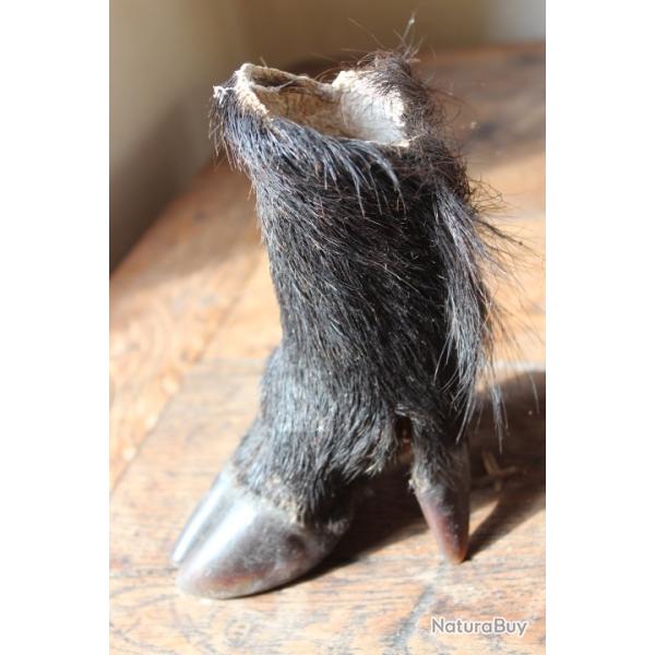 Pied de sanglier fin