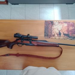 carabine lin&eacute;aire