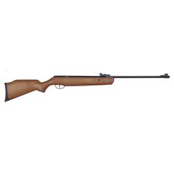 CARABINE COPPERHEAD 4.5 19.9J