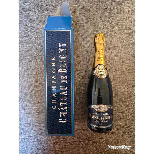 Bouteille Champagne Ch�teau de Bligny Grande R�serve Brut 75cl - Avec �tui