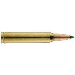 Sologne .300 Win. Mag. Nosler Ballistic Tip 150 gr / 9,7 g Sologne .300 Win Mag Ballistic Tip 150 gr
