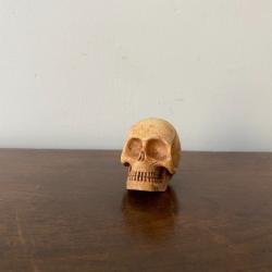 MEMENTO MORI / MISERICODE / VANITE CRANE EN OS BOVIN SCULPTE XIXEME H 3,5 CM