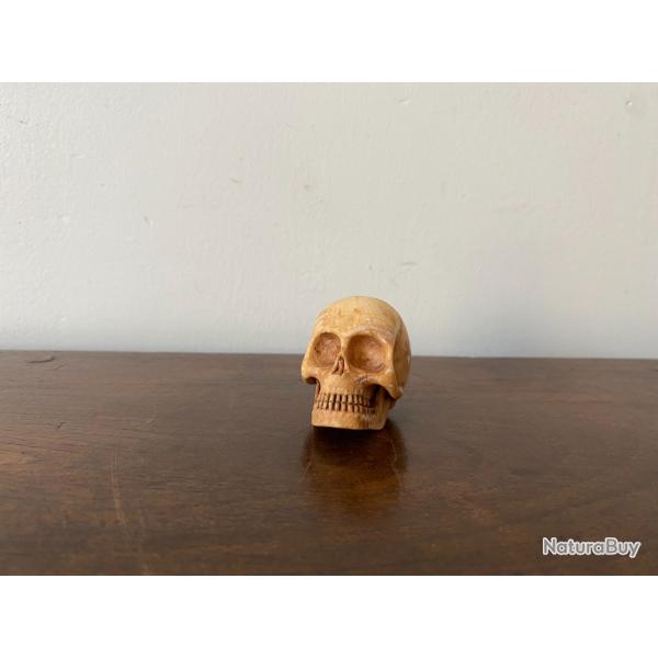 MEMENTO MORI / MISERICODE / VANITE CRANE EN OS BOVIN SCULPTE XIXEME H 3,5 CM