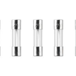 Nimrod Glass Type Fuse 5x20mm 30A 5pcs - R&eacute;f: 11267700000
