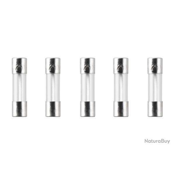 Nimrod Glass Type Fuse 5x20mm 30A 5pcs - R�f: 11267700000