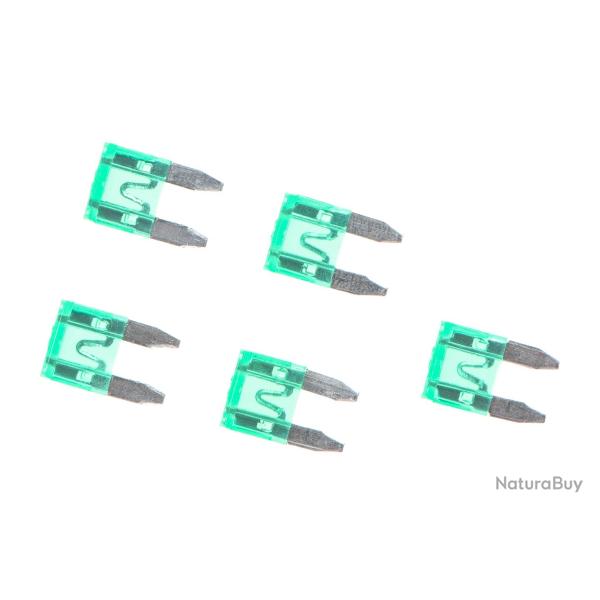 Nimrod Mini Type Fuse 30A 5pcs Green - R�f: 11267320000