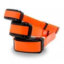 Collier suppl&eacute;mentaire DOGTRACE D-control Professional 1000