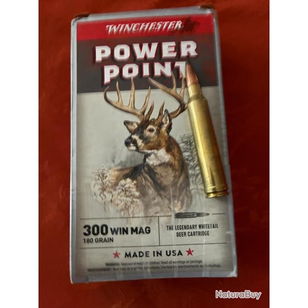 Balle 300WIN MAG POWER 180GR