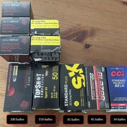 Lot Diverses Munitions 22Lr
