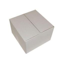 Billes de Paintball Calibre 50 - Carton 4000