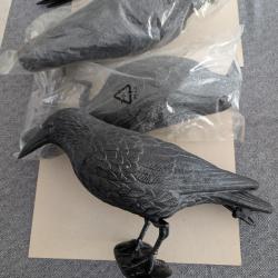 3 appelants de corbeau