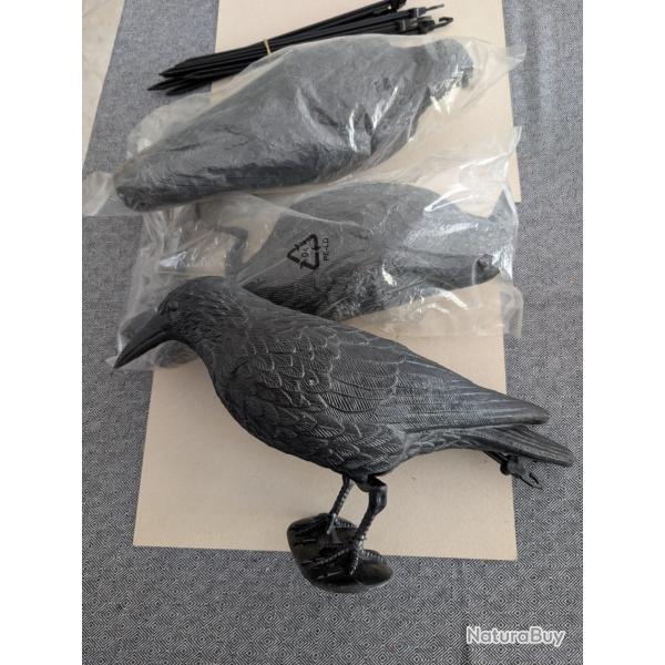 3 appelants de corbeau