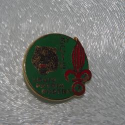INSIGNE  3&deg; REGIMENT ETRANGER  INFANTERIE  / 3 &deg; COMPAGNIE   --- DRAGO  MATRICULE