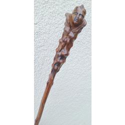 BATON DE MARCHE MONOXYLE EN NEFLIER SANGLANT DONT LE POMMEAU EST SCULPTE D UNE TETE . Ann&eacute;e 1860   .