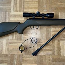 Carabine &agrave; plomb GAMO Big cat 1000E Barricade
