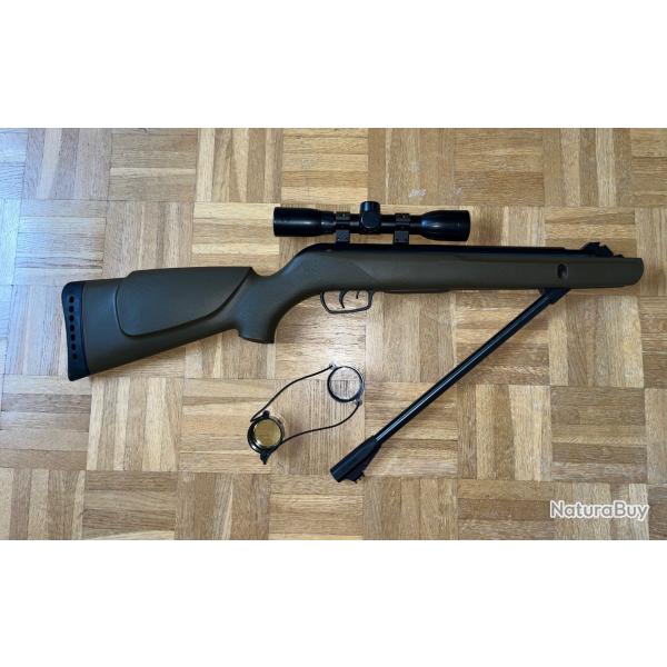 Carabine � plomb GAMO Big cat 1000E Barricade