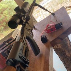 Ruger rimfire precision
