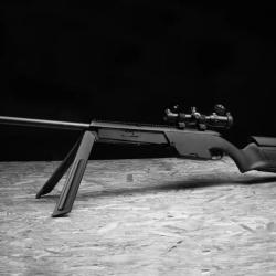 ASG Steyr Scout Elite Spring - Noir
