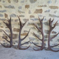 2 paires de mues de cerfs 16 cors
