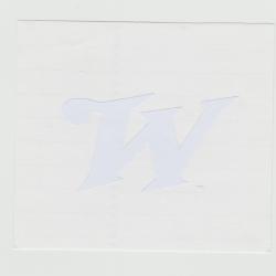 Lettre W blanc de Winchester