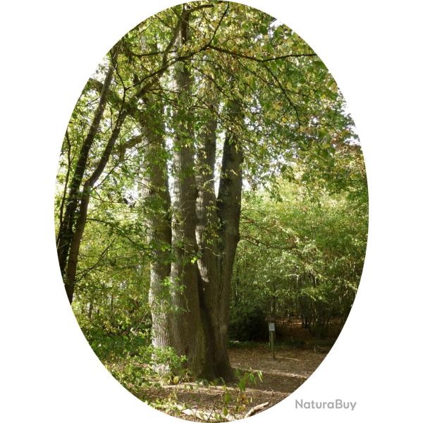 Place disponible au poste  - Association de chasse des Six Fr�res - For�t domaniale de Dourdan