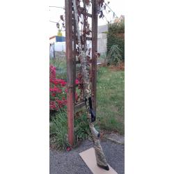 vends fusil semi auto Stoeger M3000 V2 Camo Max 7 Calibre 12/76