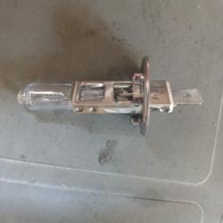 Ampoules