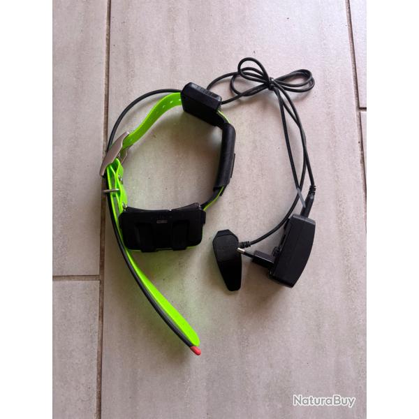 Collier garmin dc50 fr