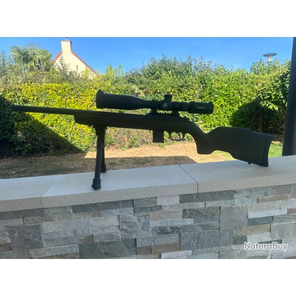 Carabine Diana R22 Carbone