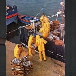 d&eacute;chargement sardines carte non situ&eacute;e cpm cir&eacute;s jaune