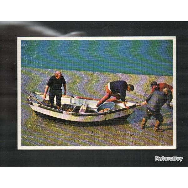 r�colter le fruit de la mer tirer la barque de concert cpm