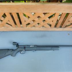 Vends Savage FVT 22lr