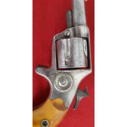 COLT NEWLINE