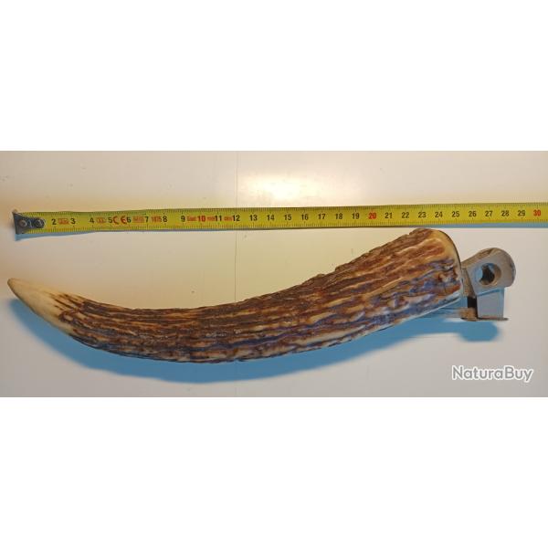 Coupe Cigare de 28 cm Manche D�fense de Sanglier