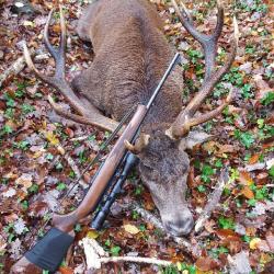Chasse &agrave; l'approche