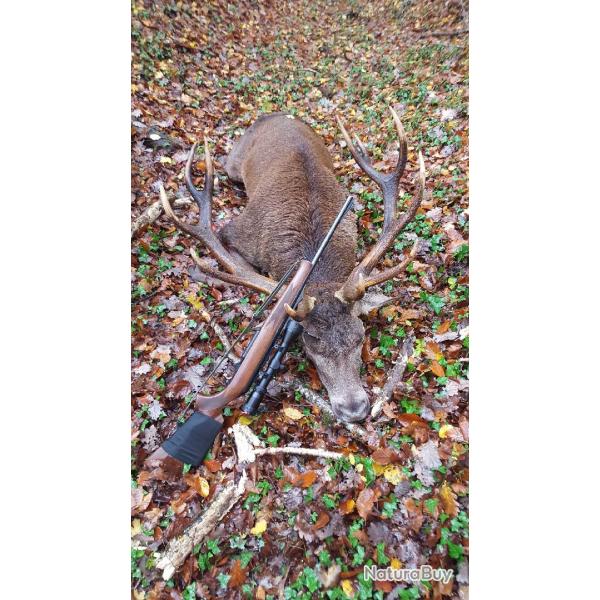 Chasse � l'approche