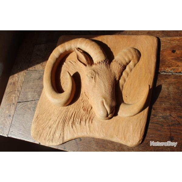 Tableau bois T�te de mouflon sculpt�e