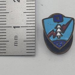 Insigne "Transmission" : Arm&eacute;e Fran&ccedil;aise.