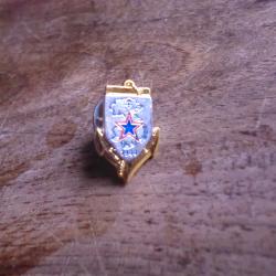 pins 1&deg; R.I.Ma escadron eclairage