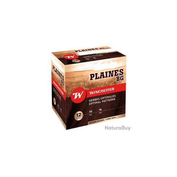 Cartouches plaine 12/70 BG 36g PB6 x 25