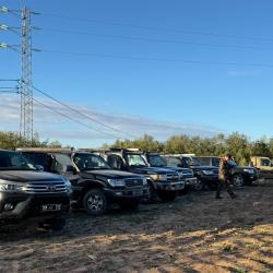 Chasse au sanglier en Tunisie, 5 jours de battue